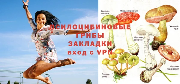spice Балабаново
