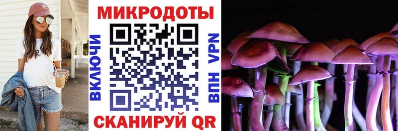 Галлюциногенные грибы MAGIC MUSHROOMS  Вяземский 
